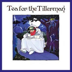 CAT STEVENS - Tea For The Tillerman 2 / vinyl bakelit / LP