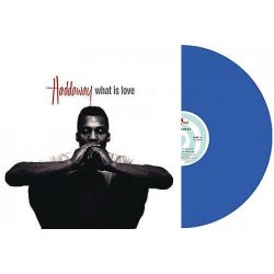 HADDAWAY - What Is Love / vinyl bakelit maxi / 12"