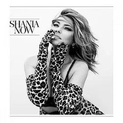 SHANIA TWAIN - Now / vinyl bakelit / LP