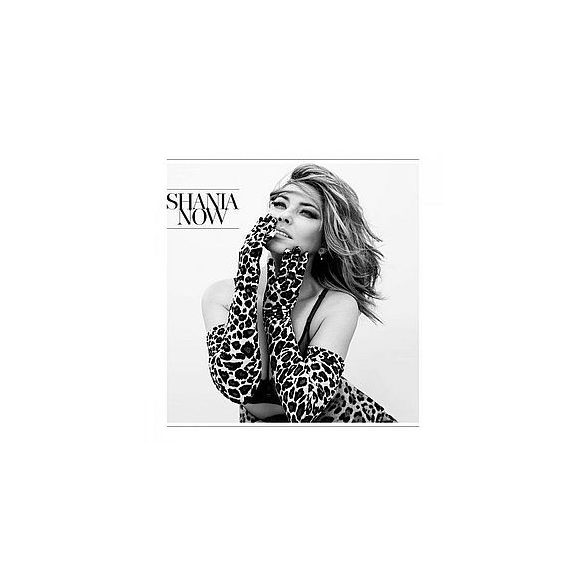 SHANIA TWAIN - Now / vinyl bakelit / LP